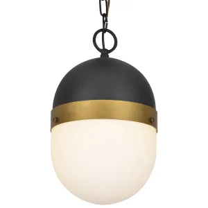 Capsule 1-Light Outdoor Pendant in Matte Black & Textured Gold