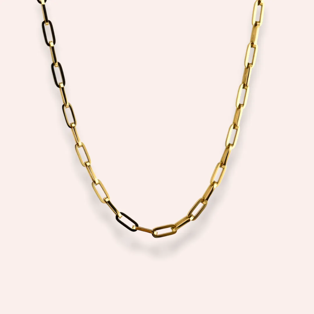 Posey Shackle Necklace